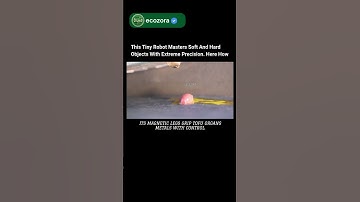 Soft X-Shaped Robot Controls Any Object With Precision🤖 #robotics #science #innovation #future #tech