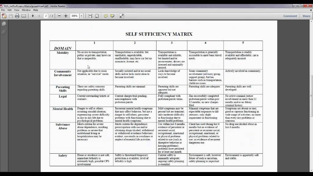 balance-of-state-cm-205-ssm-self-sufficiency-matrix-youtube