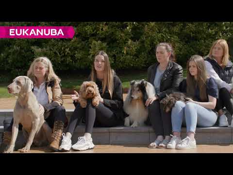 Eukanuba Ambassadogs - You can change together