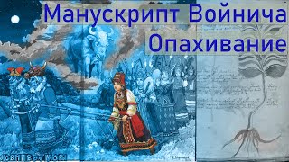 Манускрипт Войнича Разгадан! Найден Скрытый Обряд Опахивания От Демонов.  Тайна Женской Логики.