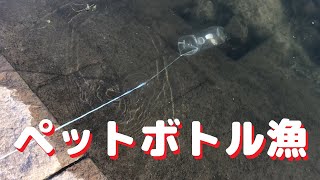 ペットボトル漁【おろちんゆーのマネちんゆー】