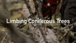 Limbing Coniferous Trees