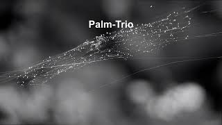 Download Lagu Uti var hage   - Palm-Trio MP3