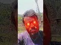 3 अप्रैल 2025