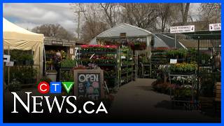 Cold weather impacting garden centres