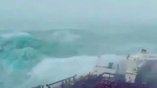 شاهد فيديو اعصار ماكانو في شاطى جزيرة سقطرى من سطح باخرة يوضح هيجان البحر