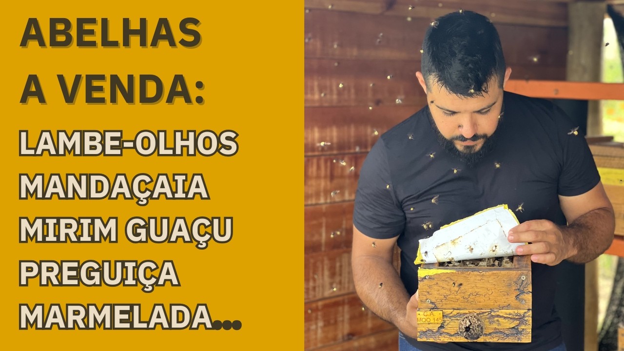 MANDAÇAIA, MIRINS, IRAÍ, JATAÍ À VENDA - SÃO PAULO, MINAS E GOIÁS