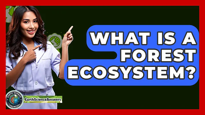 What Is A Forest Ecosystem? - Earth Science Answers