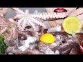 ASMR RAW OCTOPUS 산낙지 먹방 サンナクチ EATING SOUNDS.