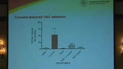 Stacey Williams Meyerhoff 20th Oral Presentation