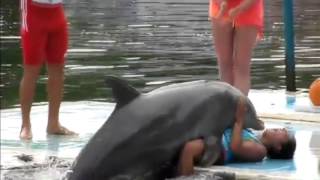 Dolphin Rapes Girl!
