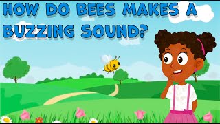 I Wonder How do Bees makes a Buzzing Sound | Bees Buzzing Sound Facts for Kids | Bees Facts for Kids