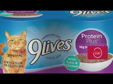 9lives-cat-food-recall