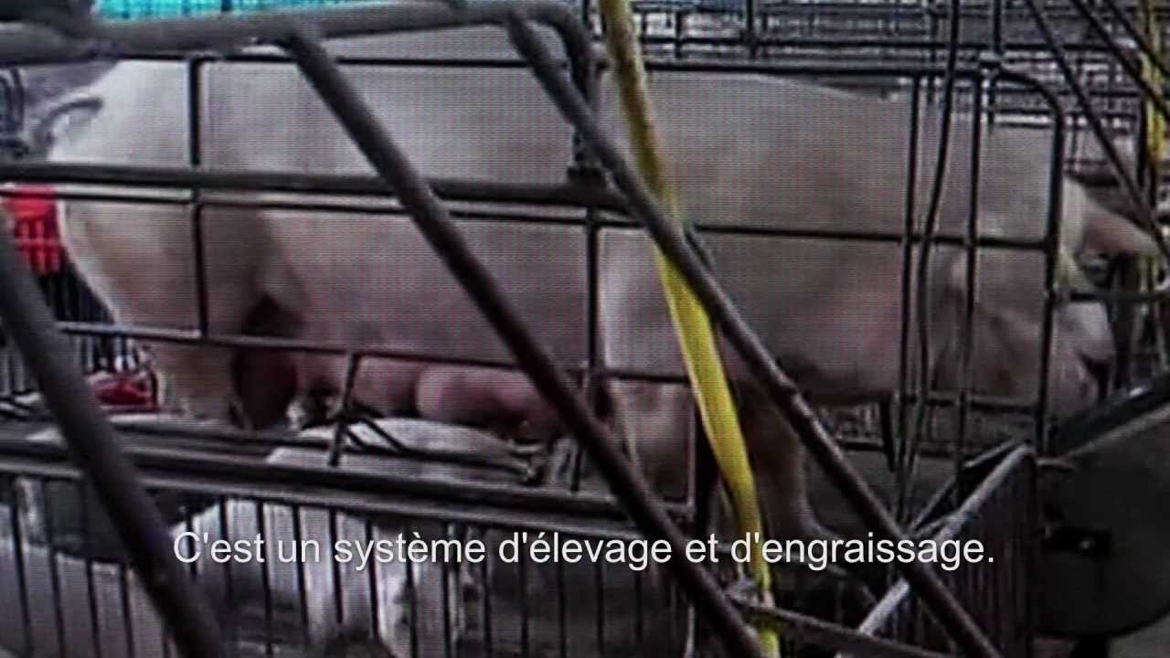 UN EXEMPLE DE DÉVELOPPEMENT DURABLE (VO sous-titrée) - YouTube