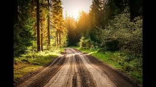 Dirt Roads and Day Dreams