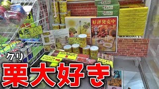クリ大好き人間の底力を発揮する【クレーンゲーム】 クリ大好き人間の底力を発揮する【クレーンゲーム】