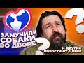 Замучили собаки во дворе? Новости и лайфхаки от Дмитрия!