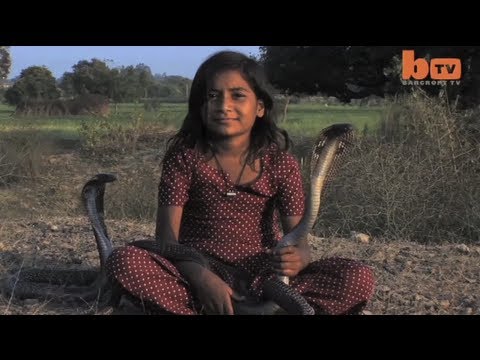 Eight-year-old Indian girl played with Deadly Cobra snakes