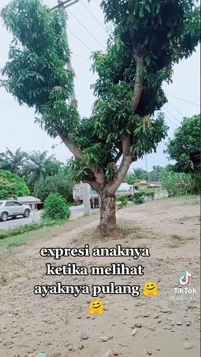 kerinduan anak seorang sopir truk 😭😭😭
