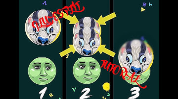 GLUESPLIT TUTORIAL IN ONE MINUTE