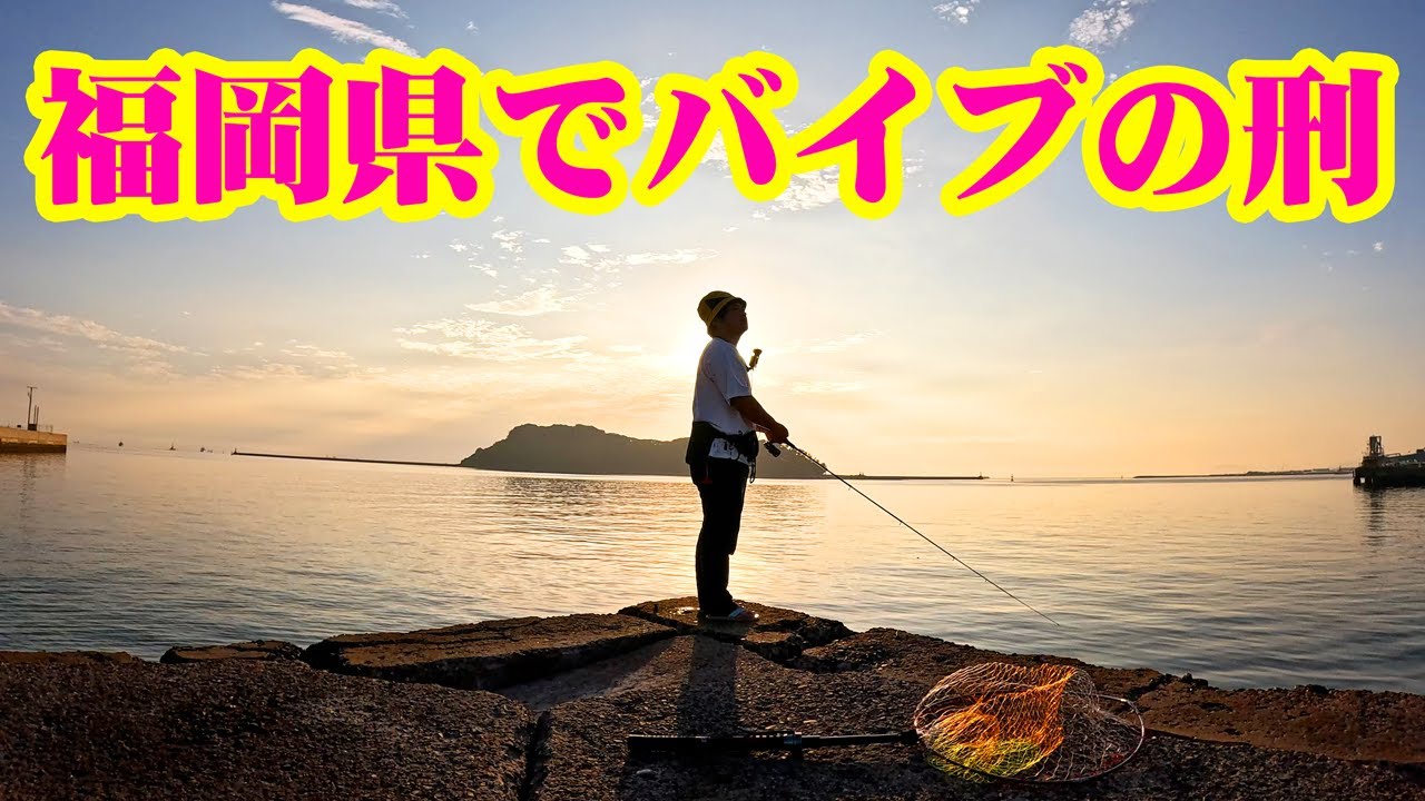 福岡県で毎日バイブレーション投げ続けた結果釣れた魚とは？