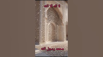 سورة الزمر #القران #القران_الكريم #المصحف #لايك #اكسبلور #تيك_توك
