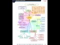 Chapter 2 Biological Classification NCERT based short notes for NEET