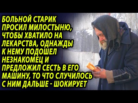 Видео: Собака, спасенная от больничной автостоянки, нуждается в доме сейчас!