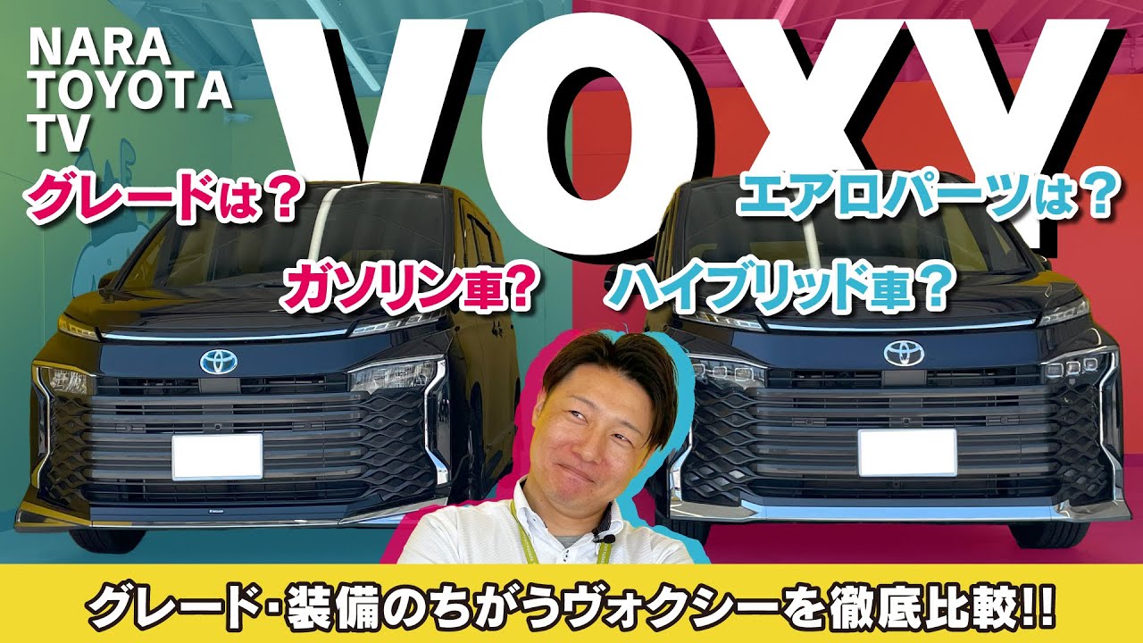 A Thorough Comparison of Voxy Models with Different Grades and