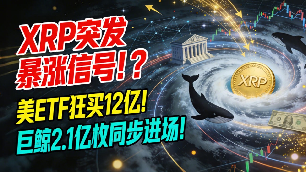 XRP突发暴涨信号！美国七支ETF狂买12亿XRP，巨鲸2.1亿枚同步进场，发生了什么？