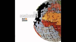 Video thumbnail of "the seahorses 1999"