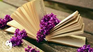 Milkk - Pacific Kiss