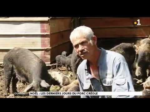 Vidéo: Le Porc Royal Est Un Plat Digne D'une Table De Fête