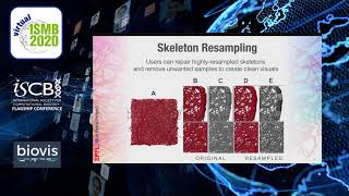 Interactive visualization and analysis of morphological... - Marwan Abdellah - BioVis - ISMB 2020