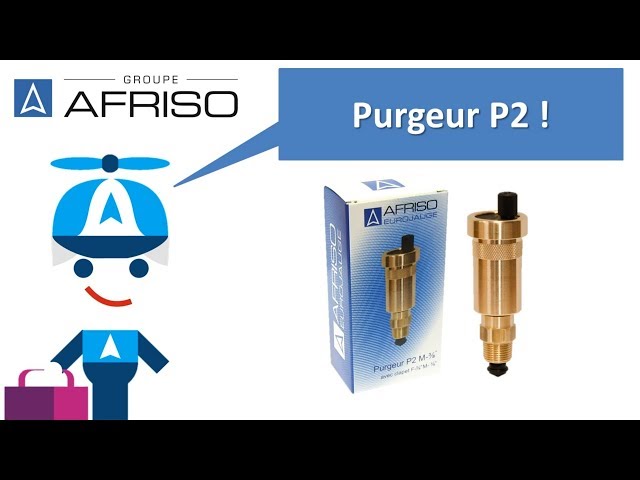 Purgeur d'air automatique P2 pour installation chauffage central - Groupe  Afriso