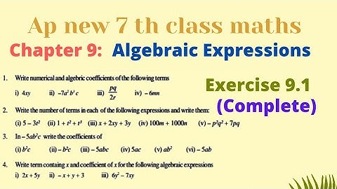 Algebraic Expressions Exercise 9.1 | Algebraic Expressions class 7 | 7th Algebraic Expressions Apnew
