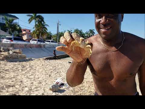 Fun Jamaican Beach Day  (An Exciting Day At The Beach)