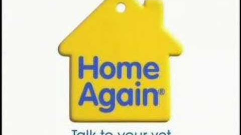 Microchipping for Your Dog or Cat