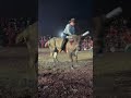 Monta con toro ley de la selva de los destructores no pudo con el jinete #jaripeo #toros #monta
