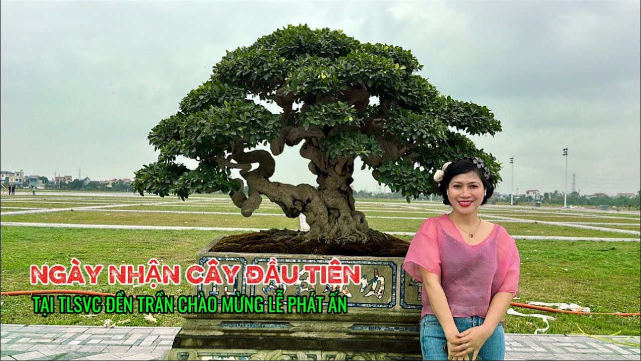 NGÀY NHẬN CÂY ĐẦU TIÊN NHƯNG CÁC TÁC PHẨM ĐÃ KÍN SÂN TRƯNG BÀY| Quảng Tùng