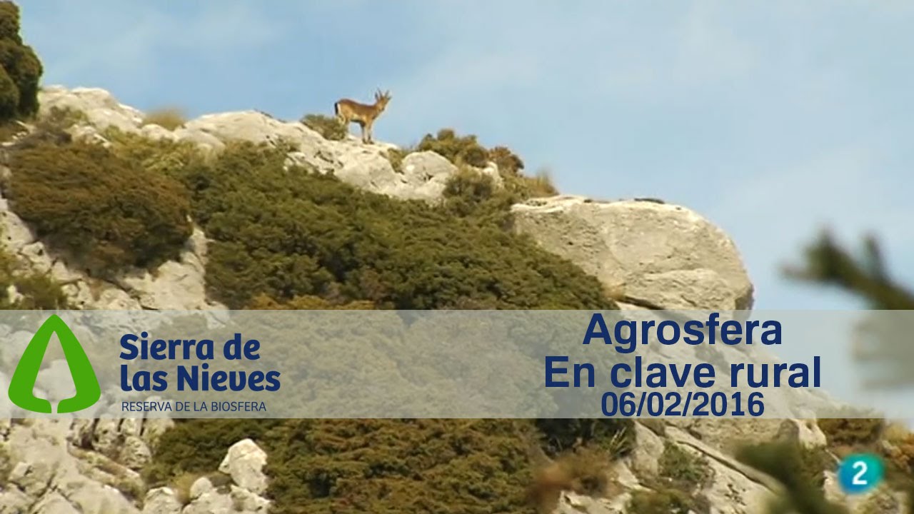 Agrosfera. En clave rural. Sierra de las Nieves (Málaga)