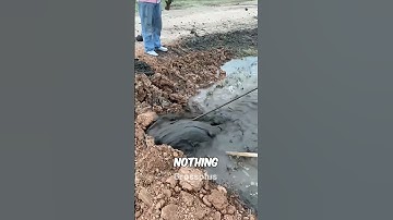 Tunnel #shorts #science