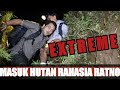 ULAR DI HUTAN RAHASIA/TERSEMBUNYI DI ATAS KETINGGIAN 2000Mdpl