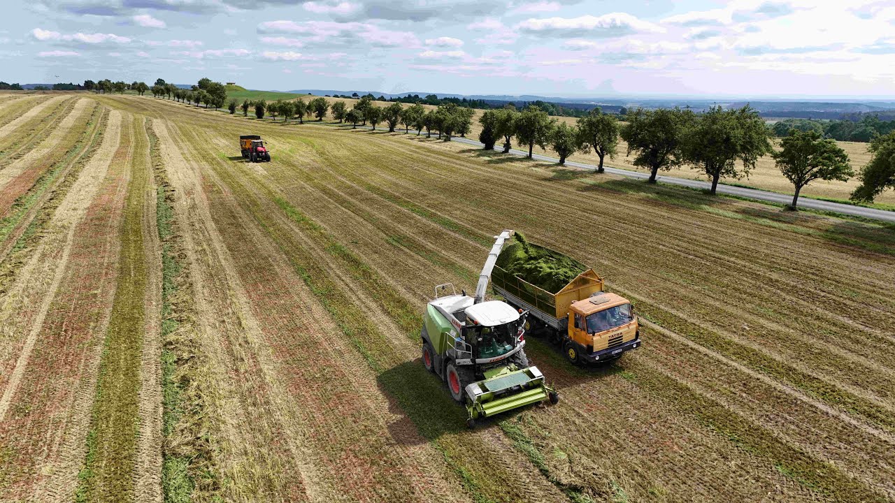 Senážování vojtěšky 2025 – Claas Jaguar 940 Farma Brocná s r o