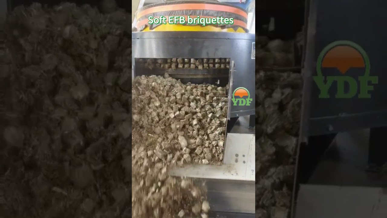 Soft Briquettes for Small Burners,Palm Oil Mill Waste Management