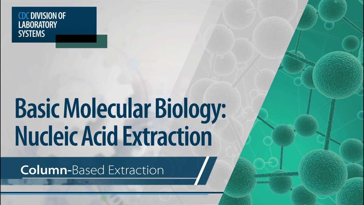 Basic Molecular Biology Nucleic Acid Extraction ColumnBased