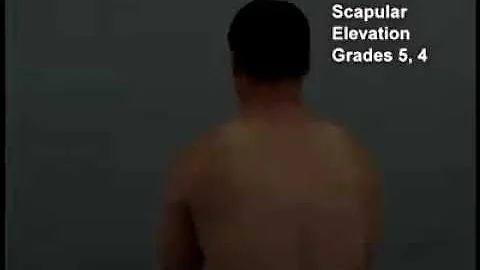 Scapular elevation [MMT]