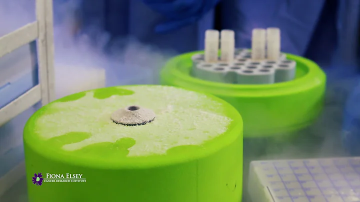 Inside the Fiona Elsey Cancer Research Institute - Virtual Lab Tour