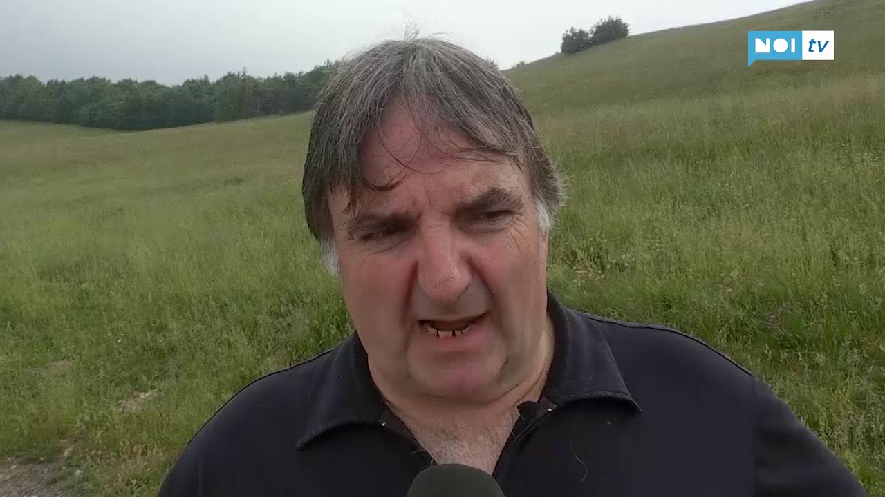 E' iniziata in Garfagnana la transumanza delle pecore bianche garfagnine