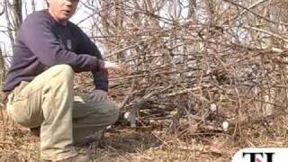 Wildlife habitat series: Brush pile - timesleader.com